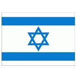 以色列队徽