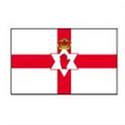 北愛爾蘭队徽