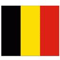 比利時队徽